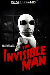 Poster to the movie "The Invisible Man" #126099