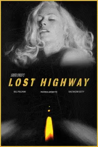 Poster to the movie "Lost Highway" #120877