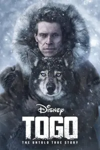 Poster to the movie "Togo" #61348