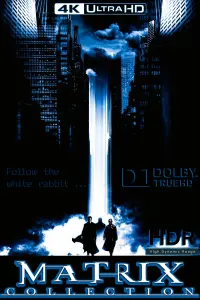 Poster to the movie "The Matrix" #14361