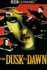 Poster to the movie "From Dusk Till Dawn" #69483