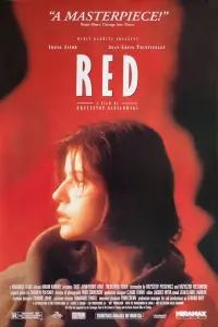 Poster to the movie "Three Colors: Red" #94014