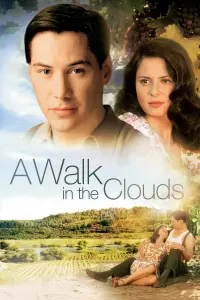 Poster to the movie "A Walk in the Clouds" #84697