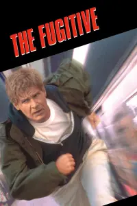 Poster to the movie "The Fugitive" #70096