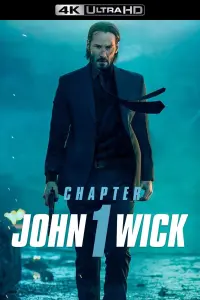 Poster to the movie "John Wick" #51533