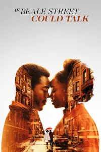 Poster to the movie "If Beale Street Could Talk" #74671