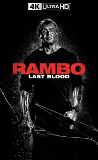 Poster to the movie "Rambo: Last Blood" #35985