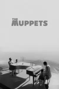 Poster to the movie "The Muppets" #271777