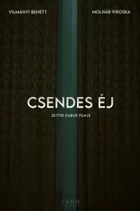 Poster to the movie "Csendes éj" #369377