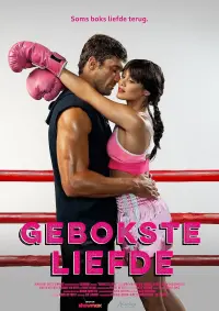 Poster to the movie "Gebokste Liefde" #568590