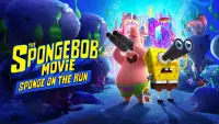 Backdrop to the movie "The SpongeBob Movie: Sponge on the Run" #30875