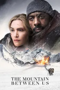 Poster to the movie "The Mountain Between Us" #60179