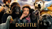 Backdrop to the movie "Dolittle" #155933