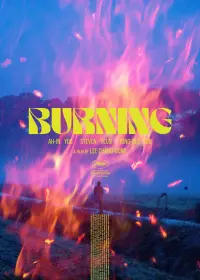 Poster to the movie "Burning" #570677