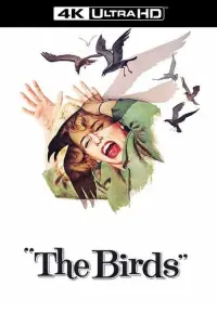 Poster to the movie "The Birds" #210013