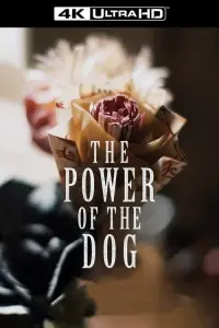 Poster to the movie "The Power of the Dog" #100111