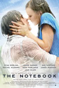 Poster to the movie "The Notebook" #31032