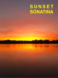 Poster to the movie "Sunset Sonatina" #582138