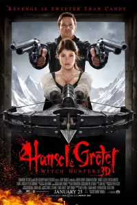 Poster to the movie "Hansel & Gretel: Witch Hunters" #48551