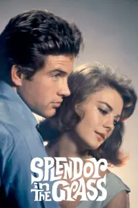 Poster to the movie "Splendor in the Grass" #365055