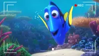 Backdrop to the movie "Dory