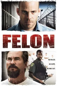 Poster to the movie "Felon" #234119