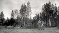 Backdrop to the movie "Andrey Tarkovsky. A Cinema Prayer" #196585