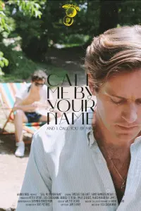 Poster to the movie "Call Me by Your Name" #464493