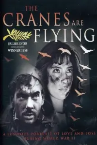 Poster to the movie "The Cranes Are Flying" #181595