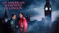 Backdrop to the movie "An American Werewolf in London" #50287