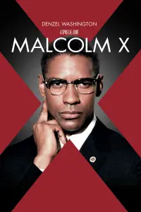 Poster to the movie "Malcolm X" #112582