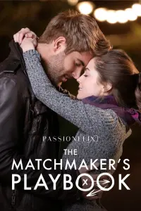 Poster to the movie "The Matchmaker