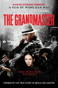 Poster to the movie "The Grandmaster" #275670