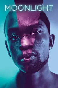 Poster to the movie "Moonlight" #93002