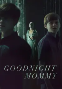 Poster to the movie "Goodnight Mommy" #294892