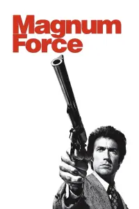 Poster to the movie "Magnum Force" #106458