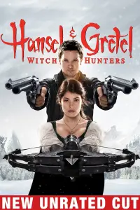 Poster to the movie "Hansel & Gretel: Witch Hunters" #48559