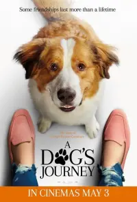 Poster to the movie "A Dog