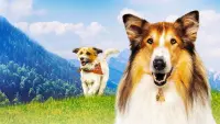 Backdrop to the movie "Lassie: A New Adventure" #530071