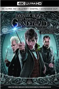 Poster to the movie "Fantastic Beasts: The Crimes of Grindelwald" #43158