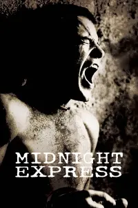 Poster to the movie "Midnight Express" #116058