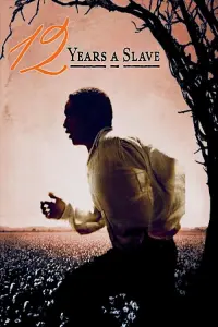 Poster to the movie "12 Years a Slave" #61674