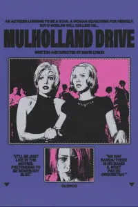 Poster to the movie "Mulholland Drive" #185713