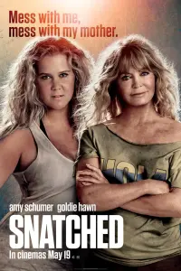 Poster to the movie "Snatched" #87278