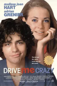 Poster to the movie "Drive Me Crazy" #277521