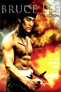 Poster to the movie "Game of Death" #89383