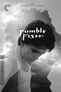 Poster to the movie "Rumble Fish" #134554