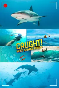 Poster to the movie "Caught! When Sharks Attack" #550475