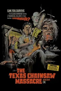 Poster to the movie "The Texas Chain Saw Massacre" #669458