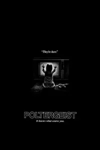 Poster to the movie "Poltergeist" #106268